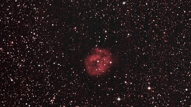 C19 2021.06.08