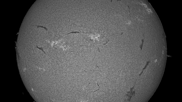 Soleil du 10/09/2023 en Halpha