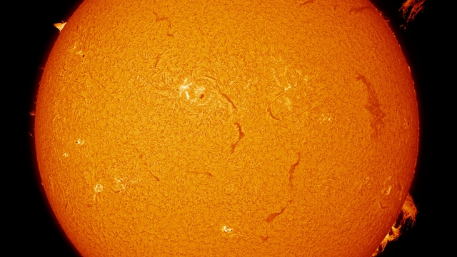 Soleil du 29/06/2025 en Halpha